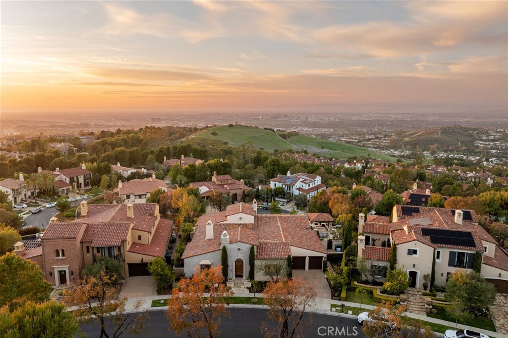 31 Ridgeview