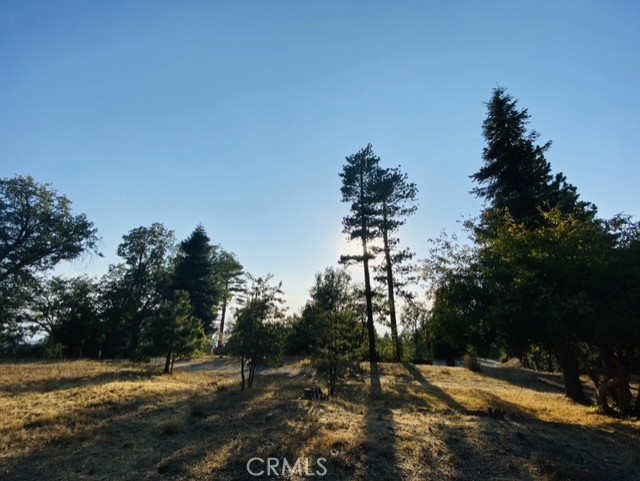 Smiley Park (SMPK) - Land