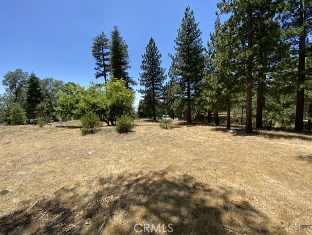 Smiley Park (SMPK) - Land