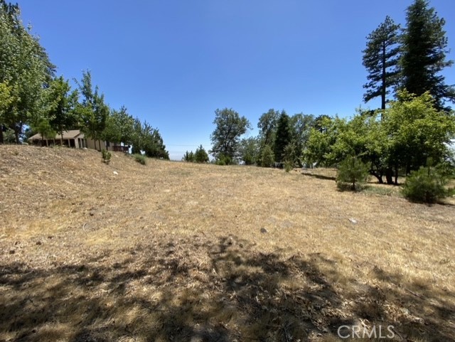 Smiley Park (SMPK) - Land