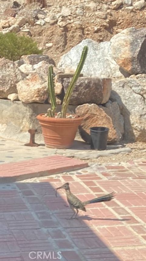 A home in 29 Palms