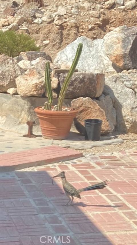 A home in 29 Palms