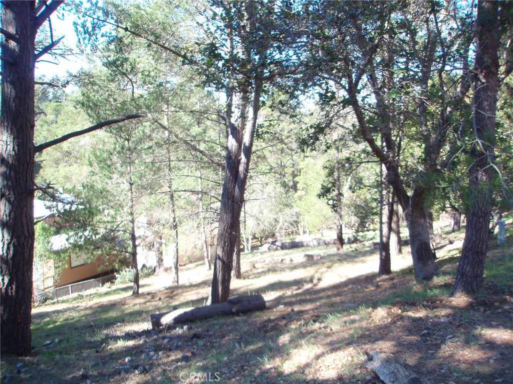 Lodge Hill(430) - Land