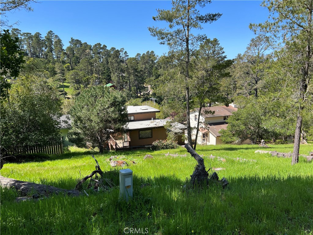 Two +-3500sf Parcels Sold Together. Total of +-7000sf. Two Apn's. Each Double is 50' x 70'. Currently No Water Wait List Position on Either Parcel However Water Positions Can Be Transferred Here. Lodge Hill forest setting, lots of deer and wild turkey roaming about. Feels like old time Cambria. Offered for $19,900.