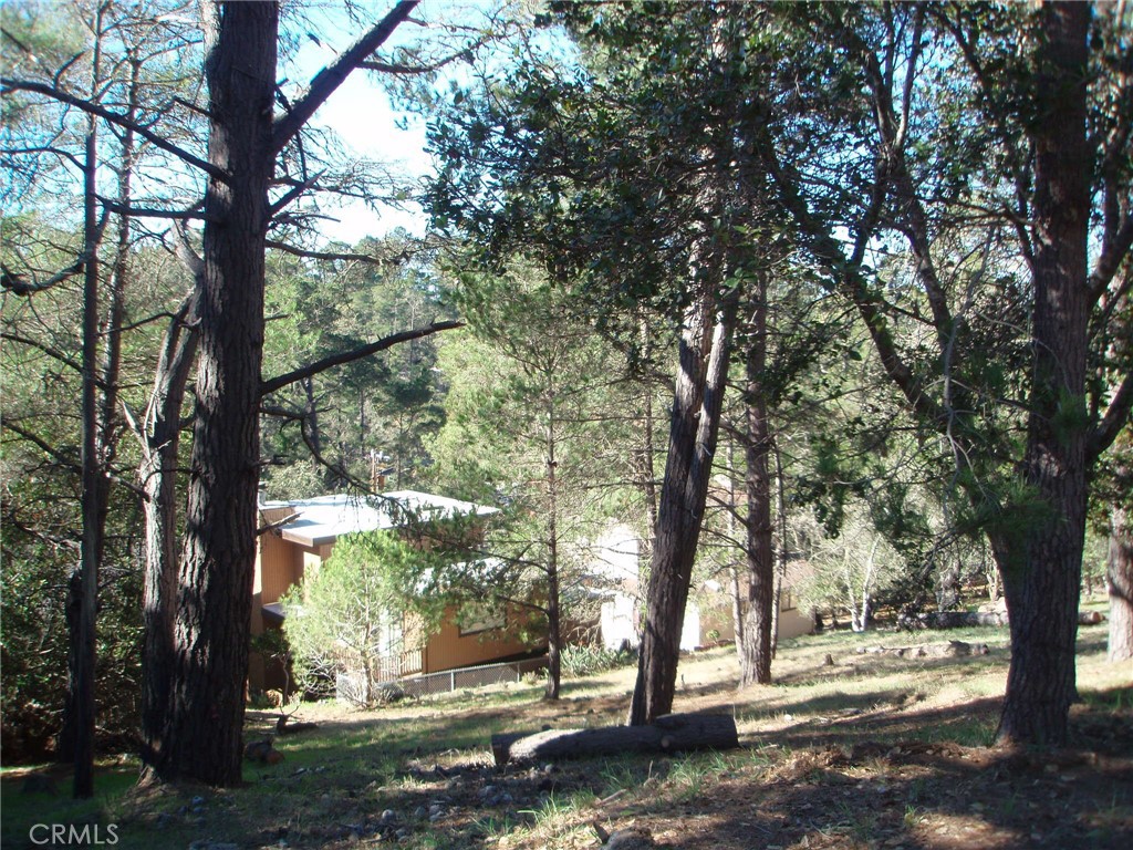 Lodge Hill(430) - Land