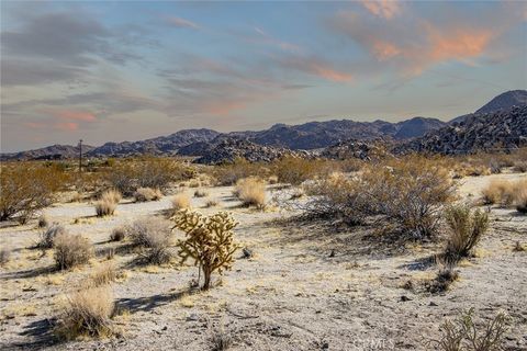 A home in Joshua Tree