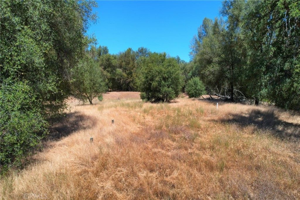 listing image 130725143440338508105