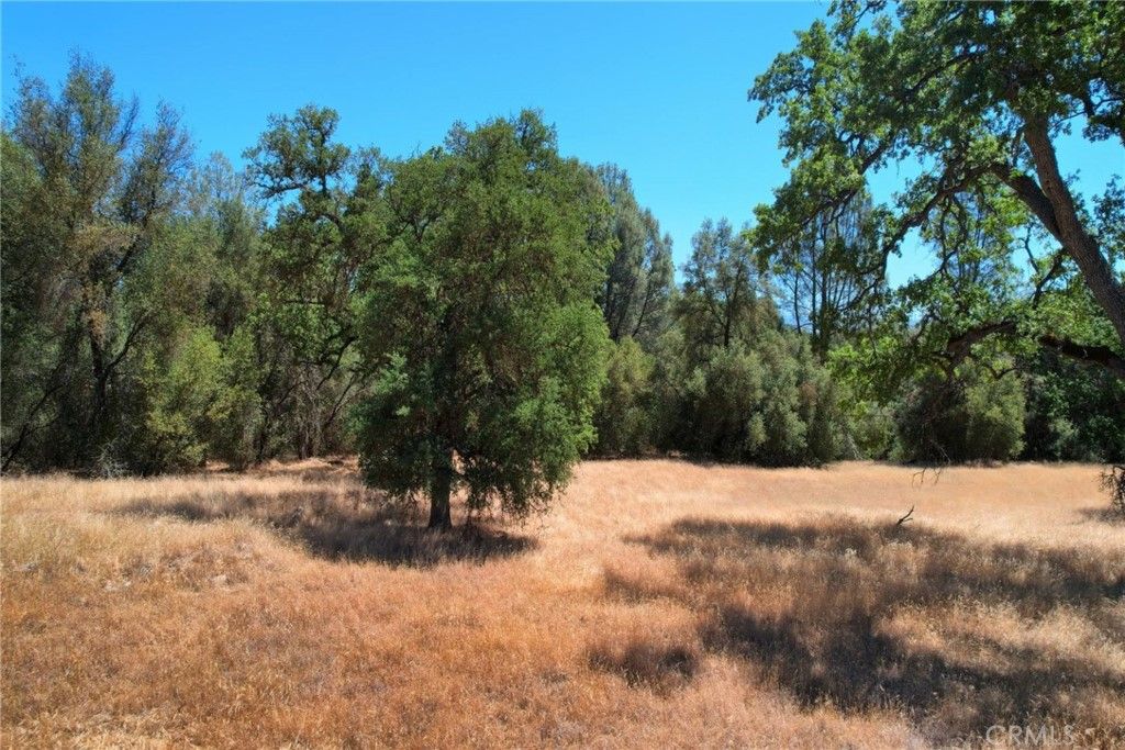 listing image 130725665504598407436