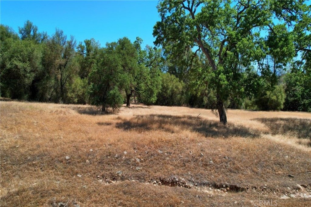 listing image 130728971857836755485