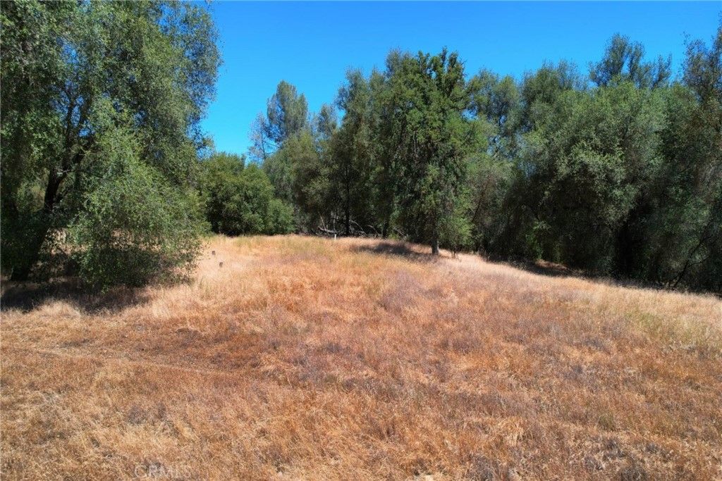 listing image 130721188712333503912