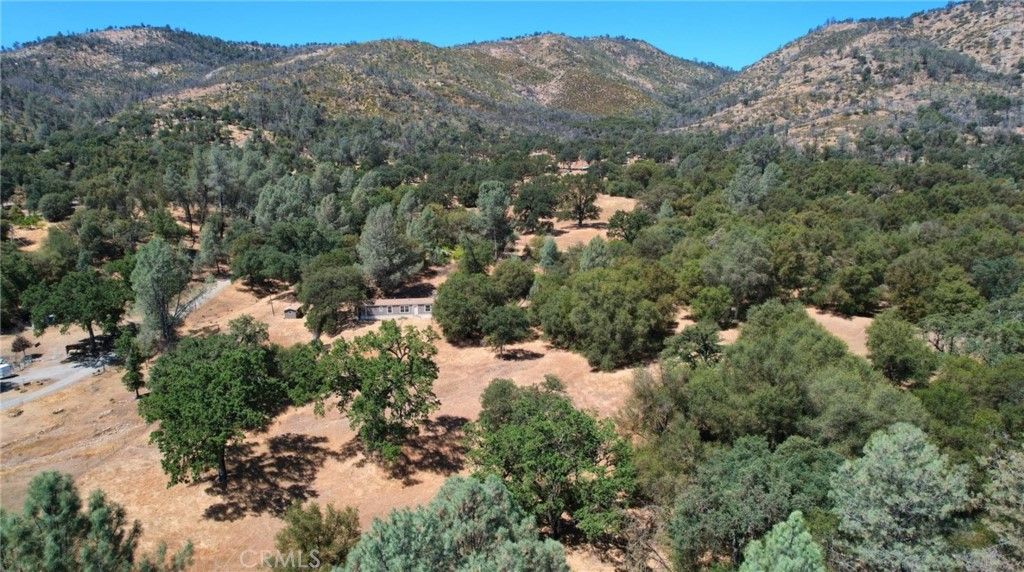 listing image 130722037653819434433