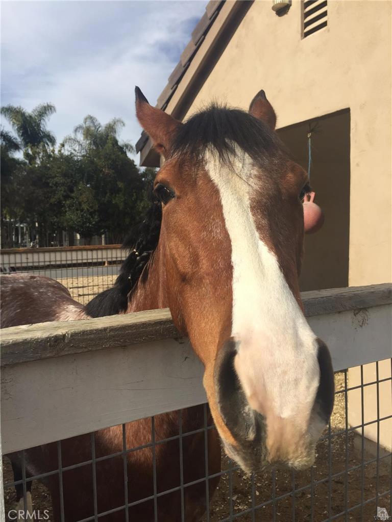 Hidden Meadows Estates 1 - 273201 - Residential