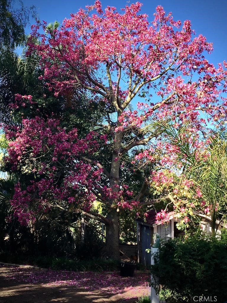 Fallbrook - Residential