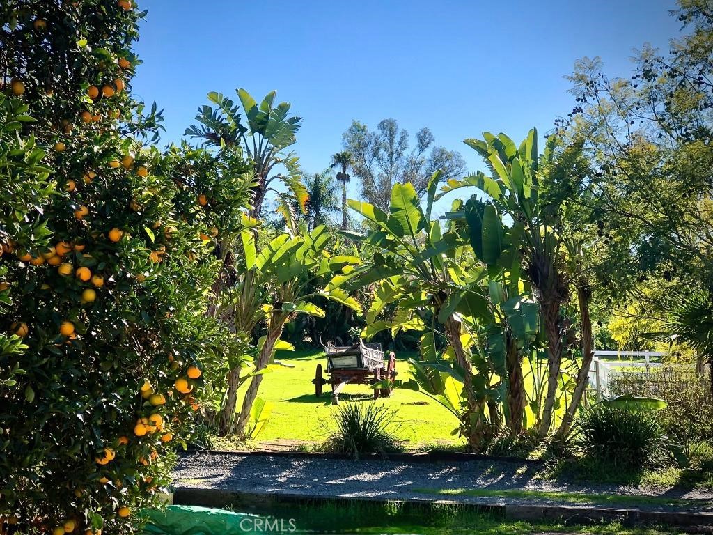 Fallbrook - Residential