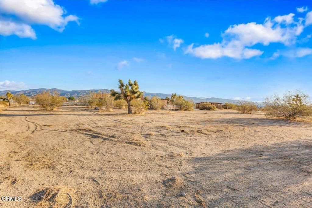 listing image 130720638627493808259