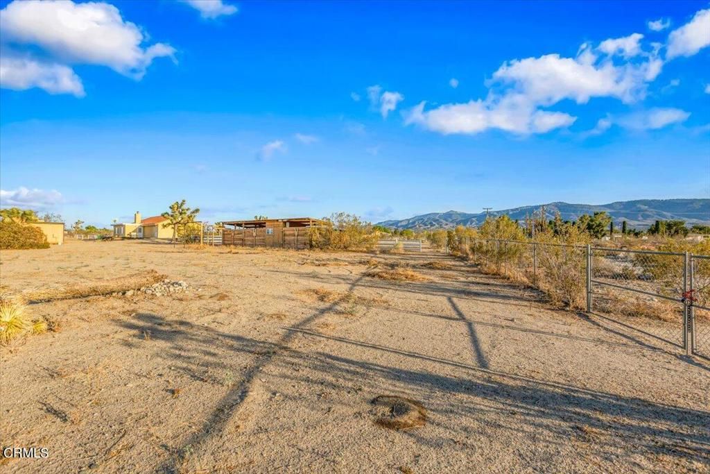 listing image 130721612455406966570