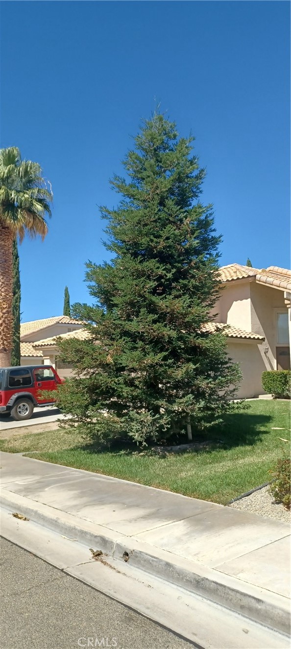 Main image without alt text