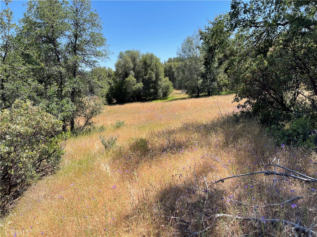 great buildable lot, 3 + acres with shared well, underground power conduit, large oaks, owner financing