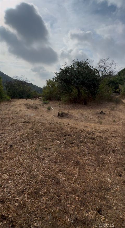 2472 Pointer lane Bel Air CA 90077