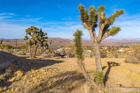 A home in Joshua Tree