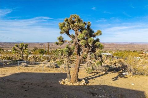 A home in Joshua Tree