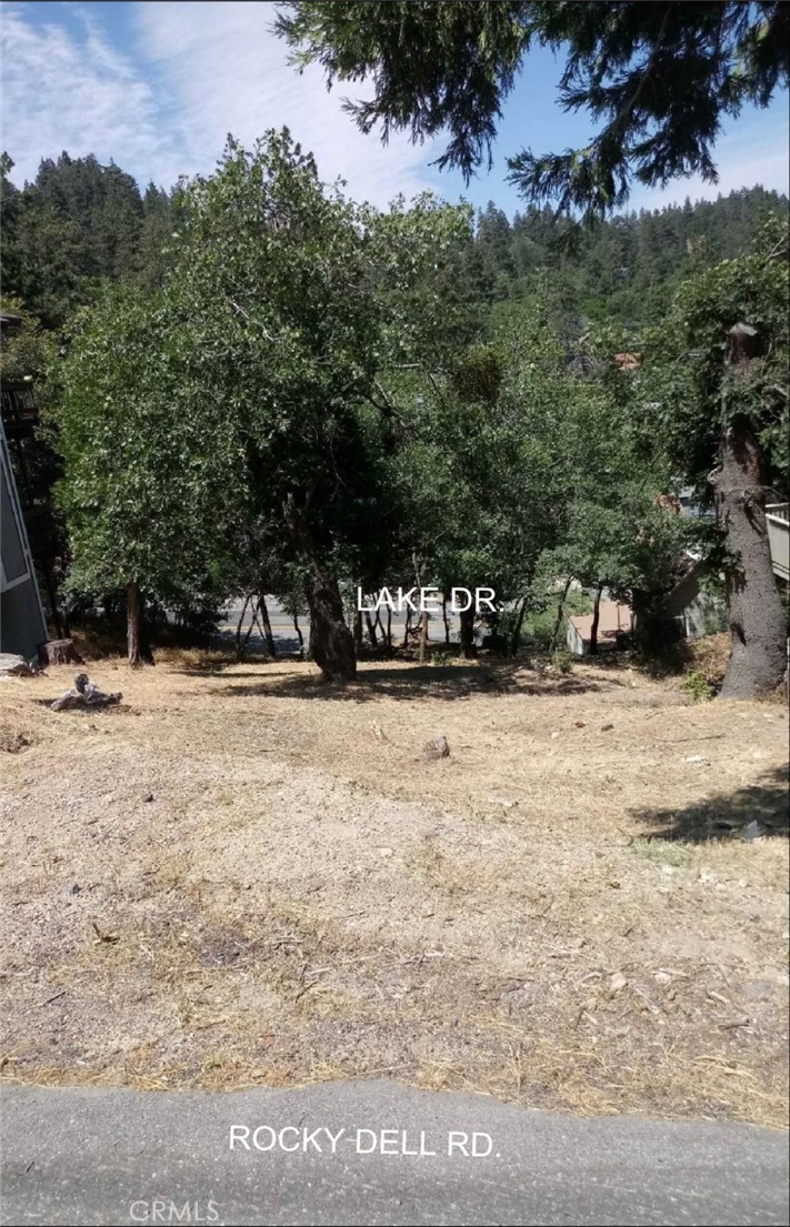 Buildable lot with some slope and minimal trees. Street access from both top and bottom (Rocky Dell and Lake Dr). All utilities in the area, houses on both sides. Manageable walk to stores along Lake Dr and Lake Gregory. Decent view overlooking turn of Lake Dr as it enters the commercial district with hills and trees beyond. Lake Dr is major street, so first to be plowed after heavy snow - with straightforward route back down to San Bernardino. Some sample floor plans shown - these are preliminary sketches and would need additional designs by your architect/contractor for submittal to building dept. Quality pdfs to share with your contractor for rough estimates and/or minor changes to layout per your preferences are available.