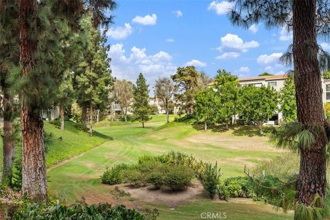 A home in Laguna Woods