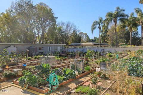 A home in Camarillo