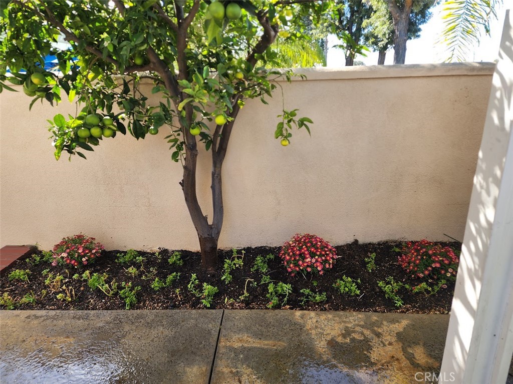 Malaga (MAL) - Residential