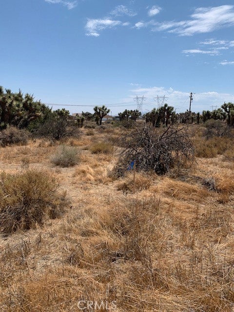 0 Tumbleweed