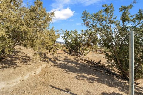 A home in Agua Dulce