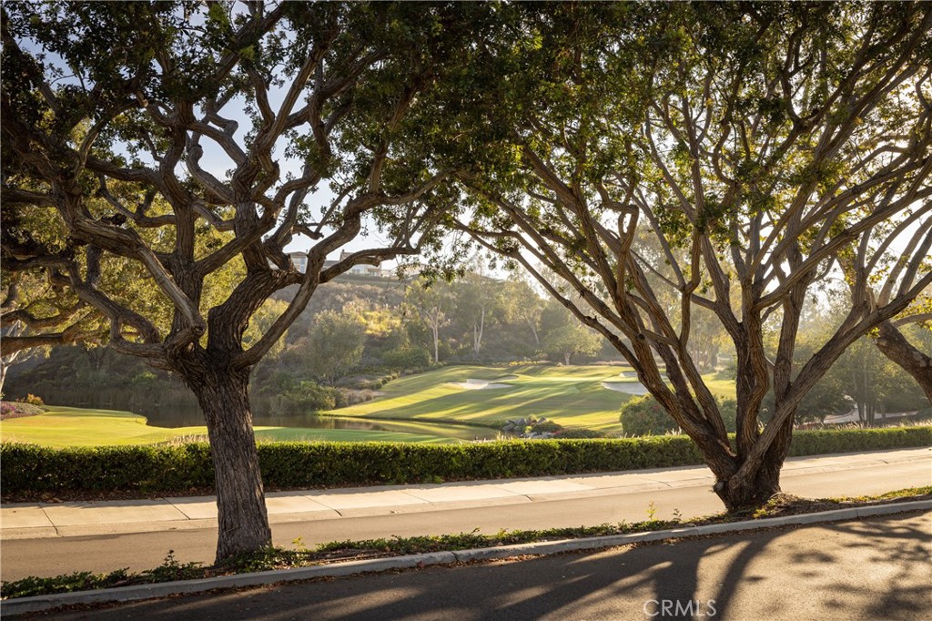 Big Canyon Custom (BCCS) - Residential