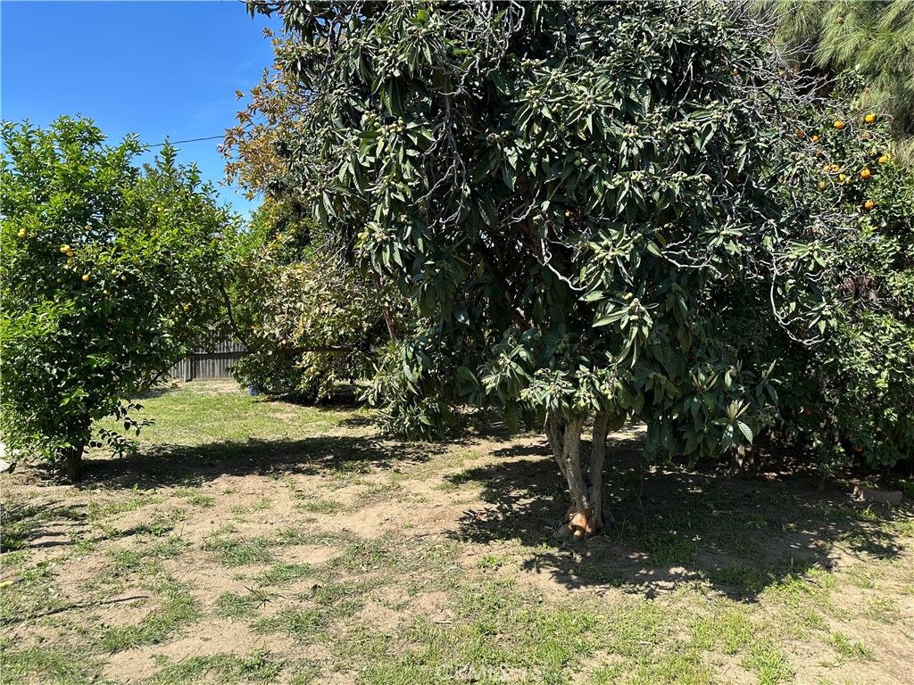 listing image 40