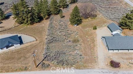 This 1.02-acre lot in the gated community of Bear Valley Springs presents a fantastic opportunity to build your dream home. Featuring a mix of rolling and level terrain, this property is adorned with lush pine trees and benefits from fresh, clean air. The tranquil setting, complete with warm breezes and clear blue skies, offers a perfect backdrop for your future residence. With ample space for horses and other animals, and convenient access to the adjacent High Country Horse Trail, this parcel is ideal for those seeking a serene and private retreat. Imagine the endless possibilities as you design and construct your ideal home on this enchanting lot. Come explore and start envisioning the lifestyle you could create in this beautiful, peaceful setting.