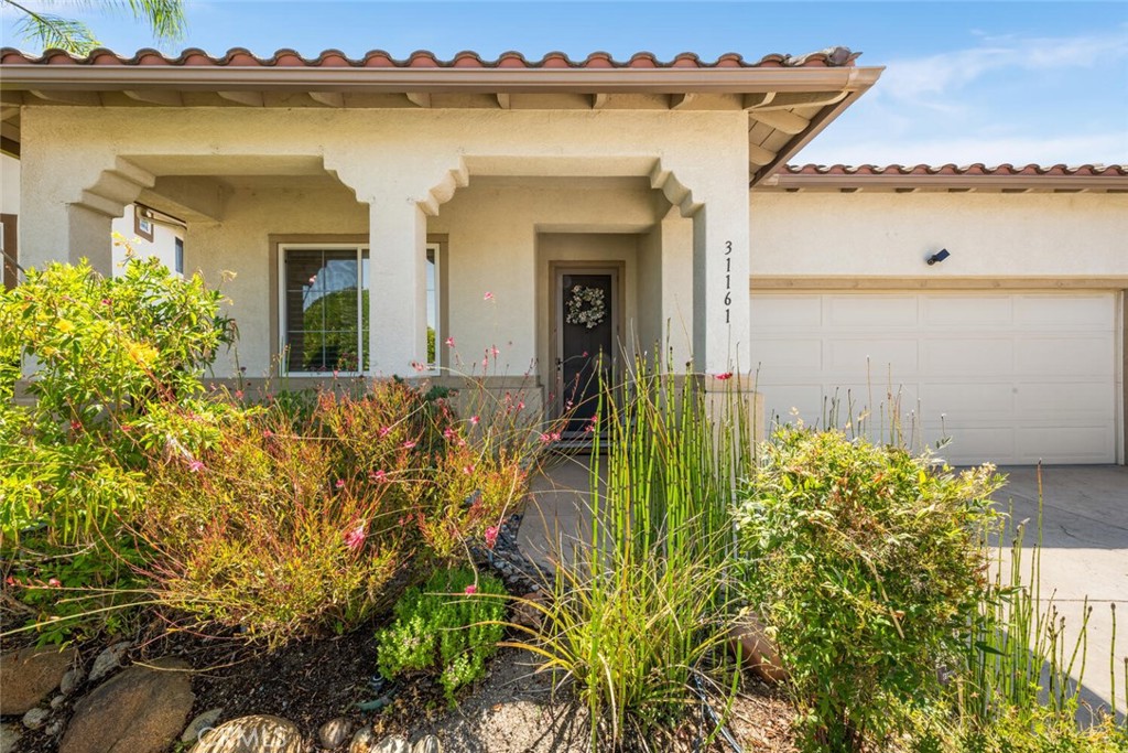 31161 Nassau Ct