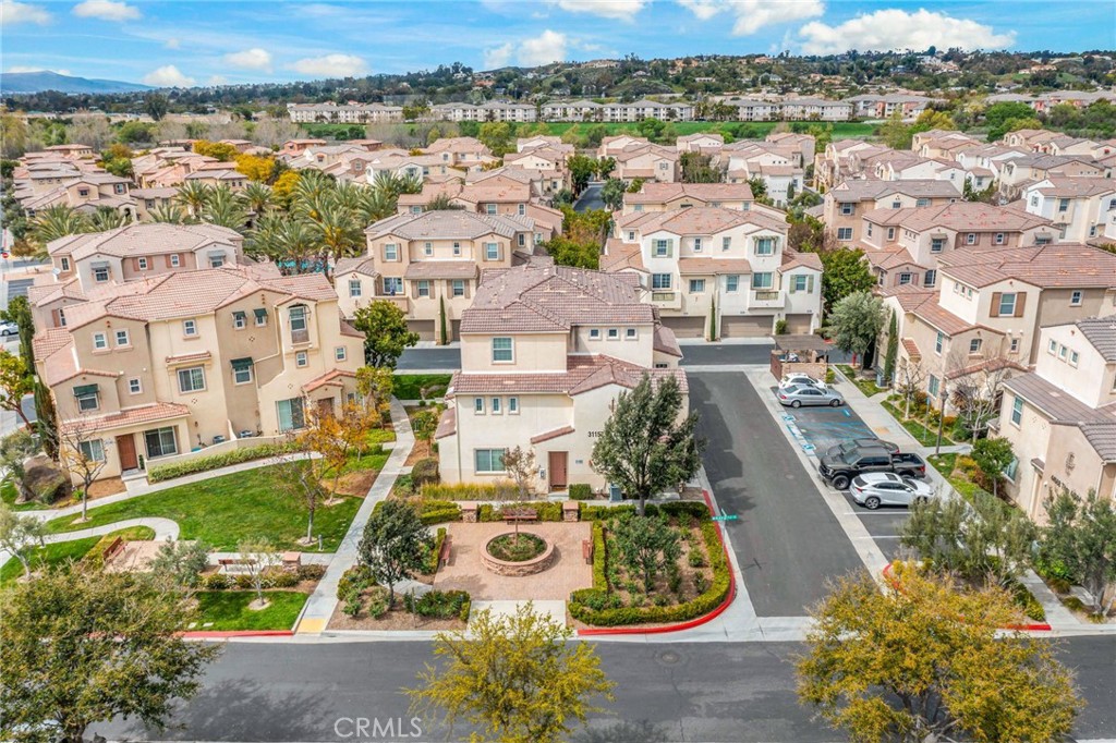 31163 Lavender Court 204