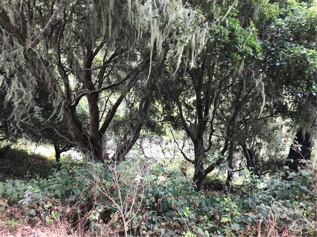 Pine Knolls Estates(470) - Land