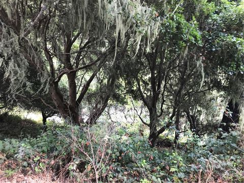 Tiny photo for 0 Hillcrest Drive, Cambria, CA 93428 (MLS # SC22073549)