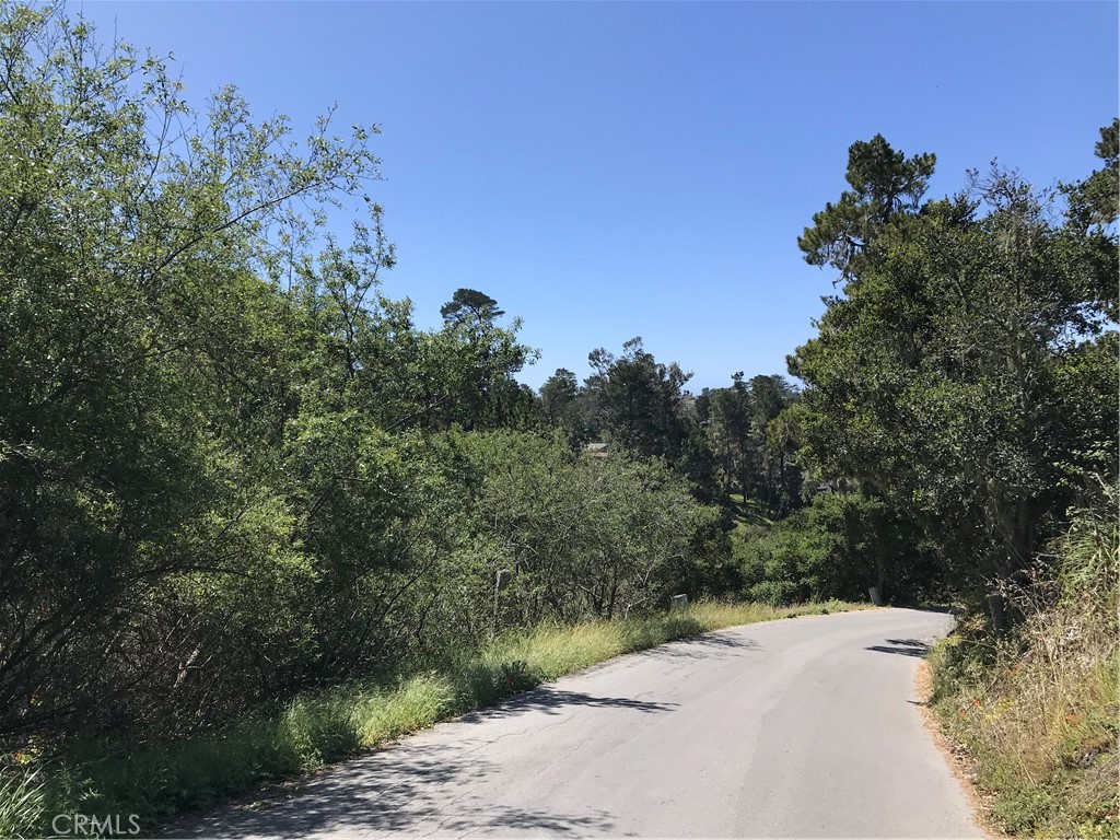 Pine Knolls Estates(470) - Land