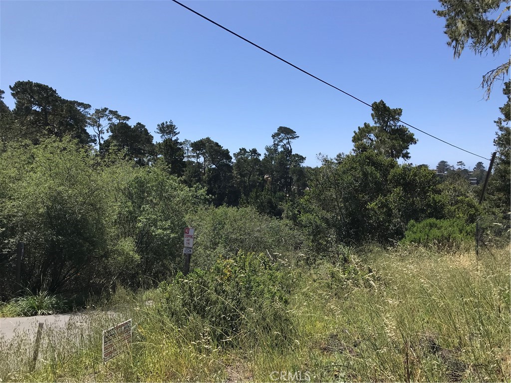 Pine Knolls Estates(470) - Land