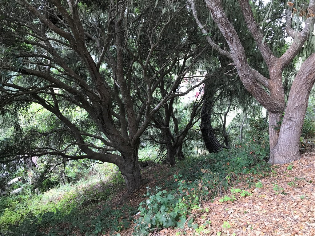 Pine Knolls Estates(470) - Land