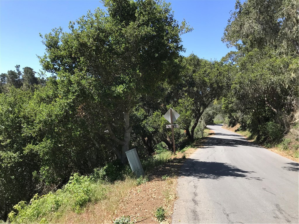 Pine Knolls Estates(470) - Land