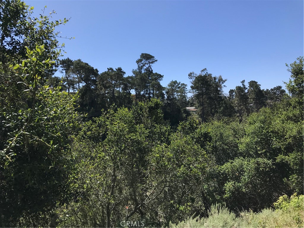 Pine Knolls Estates(470) - Land