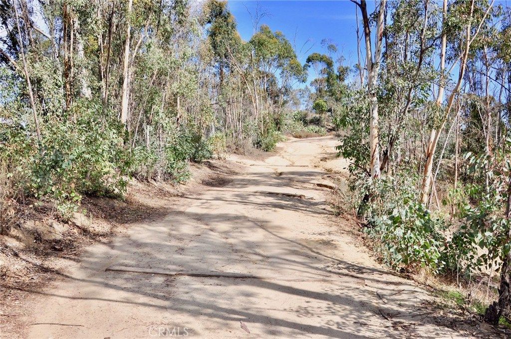 listing image 130726715763773799458