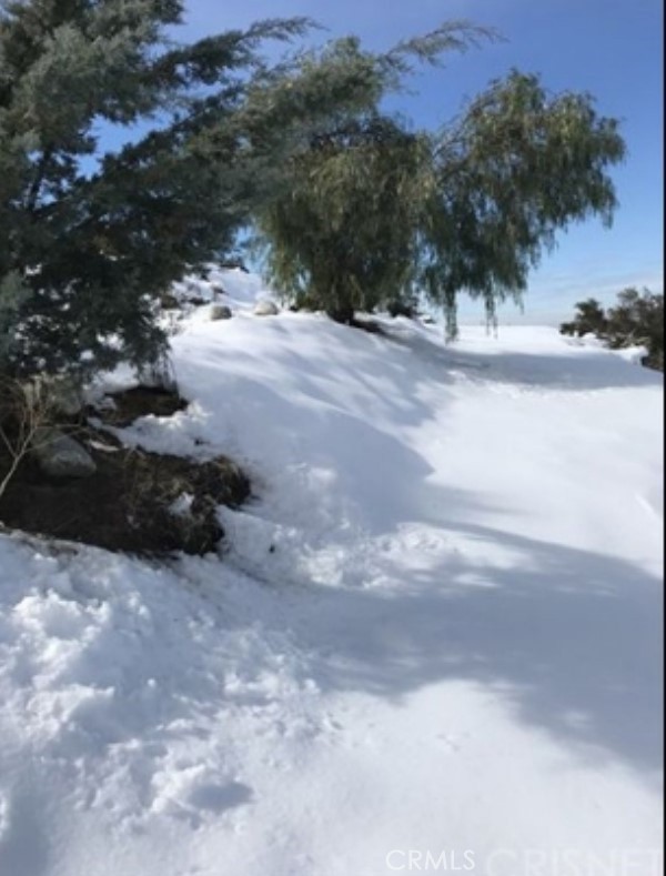 Custom Acton (CACTO) - Land