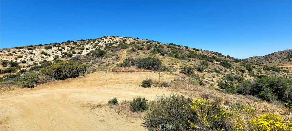 Custom Acton (CACTO) - Land