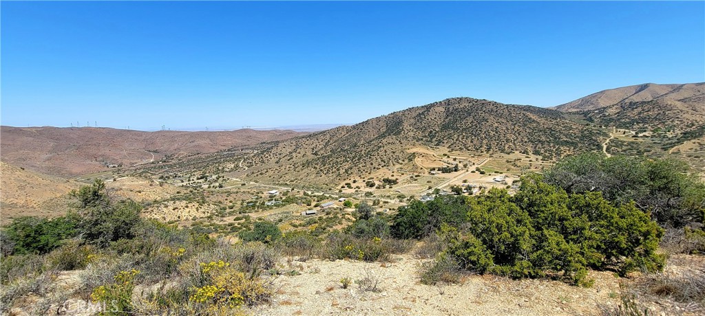 Custom Acton (CACTO) - Land