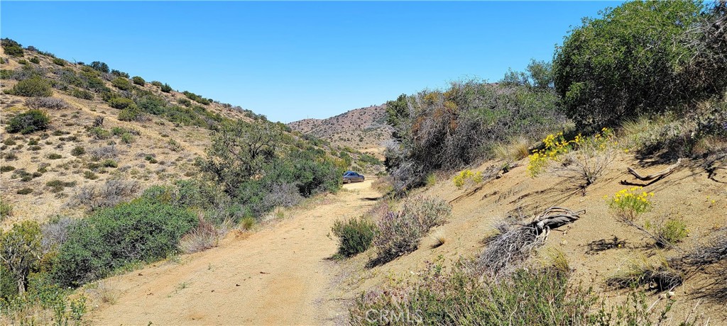 Custom Acton (CACTO) - Land