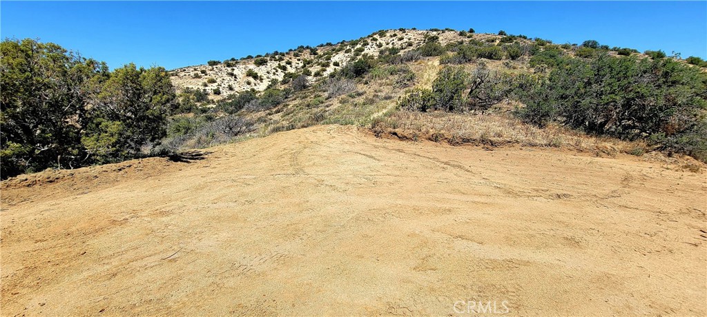 Custom Acton (CACTO) - Land