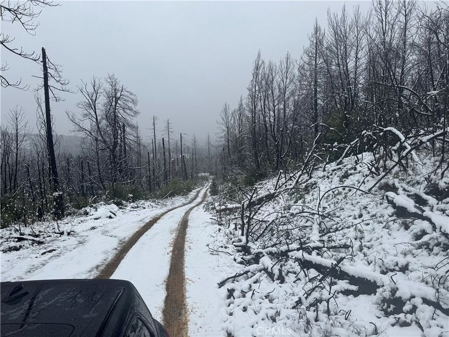 Looking for space, privacy, and fresh mountain air? This 7+ acre parcel in Berry Creek offers the perfect spot to build your dream home or getaway. Nestled in the Sierra Nevada foothills of Butte County. You'll enjoy peaceful surroundings, starry nights, and endless possibilities. Over 7 acres of land, beautiful natural landscape with trees and open skies. There is room for a home, garden, shop, or recreation, easy access to Lake Oroville and outdoor adventure. The neighboring property of and additional 7+acres can also be purchased or sold separately. Whether you're looking to build, or escape the hustle and bustle, this property offers potential and peace of mind. Located just a short drive from Oroville and under 2 hours from Sacramento.